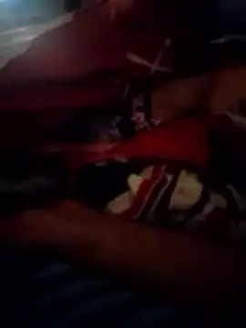 gatinhoznspp online show from October 12, 8:02 am