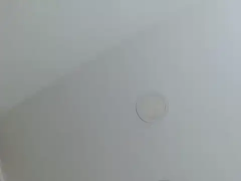 Snapshot of milfevha chatting on February 26, 2:38 pm milfevha online show from February 26, 2:38 pm