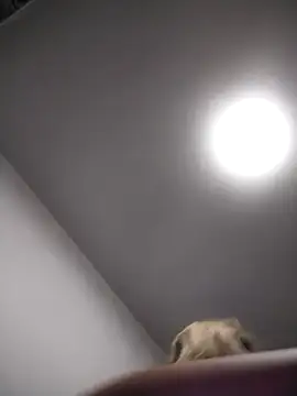 AudreySosa online show from March 13, 8:04 am