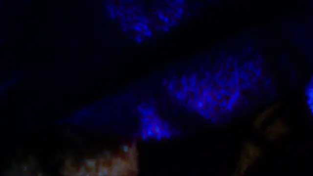 penesillo79 online show from December 18, 4:29 am