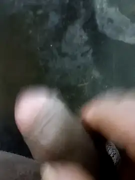 jellydicks online show from January 13, 1:49 pm