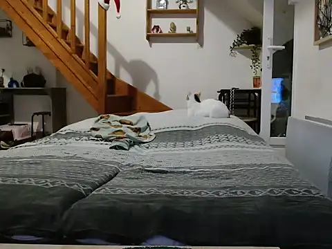 Lauzo21 online show from December 5, 6:33 am