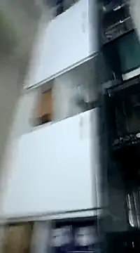 pedritolobito online show from December 3, 1:41 am