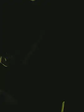 Snapshot of Pressure69mee chatting on March 2, 10:59 pm Pressure69mee online show from March 2, 10:59 pm