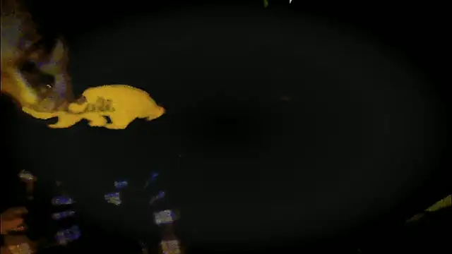 Snapshot of Pressure69mee chatting on March 12, 9:24 pm Pressure69mee online show from March 12, 9:24 pm