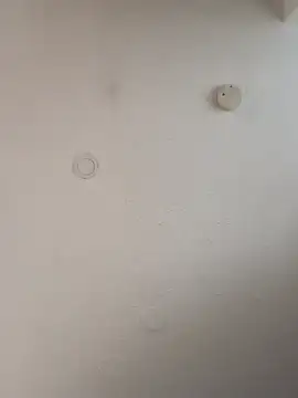 geilerschwanz64 online show from January 5, 12:10 pm