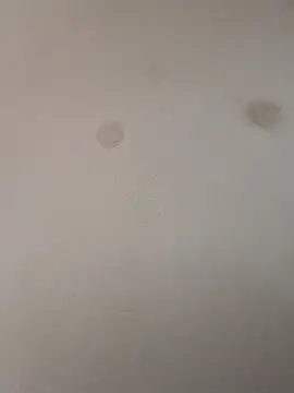 geilerschwanz64 online show from January 9, 9:05 pm