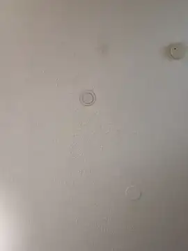 geilerschwanz64 online show from January 10, 7:04 am