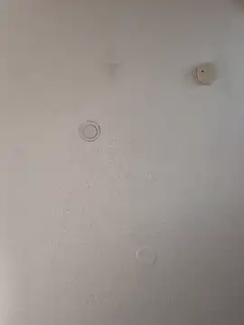 geilerschwanz64 online show from January 18, 4:31 pm