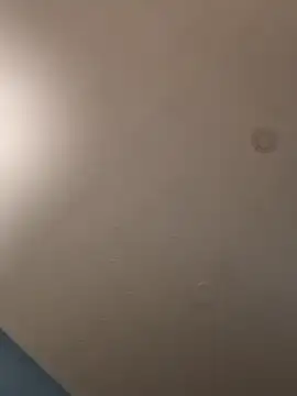 geilerschwanz64 online show from January 21, 5:16 am