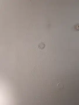 geilerschwanz64 online show from February 2, 4:00 pm