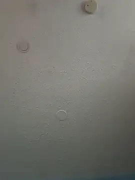 geilerschwanz64 online show from February 3, 5:46 pm