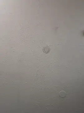 geilerschwanz64 online show from February 11, 4:11 am