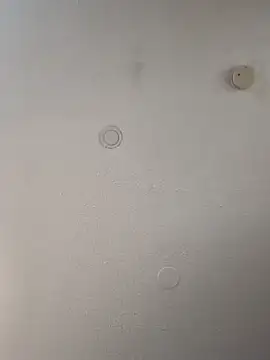 geilerschwanz64 online show from February 21, 8:40 am