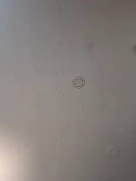 geilerschwanz64 online show from March 19, 12:59 am