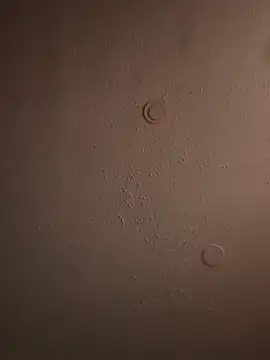 geilerschwanz64 online show from March 20, 11:49 am