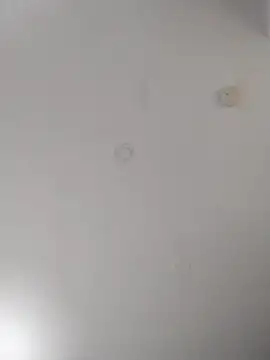 geilerschwanz64 online show from September 22, 7:05 pm