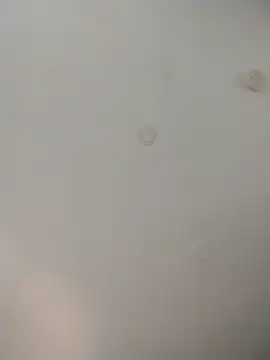 geilerschwanz64 online show from November 26, 8:21 pm