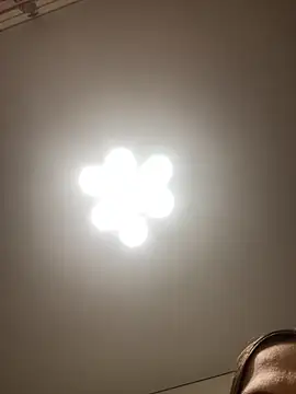 Snapshot of Janet_Welder chatting on November 16, 12:05 am Janet Welder online show from November 16, 12:05 am