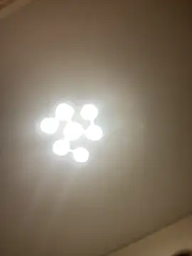 Janet Welder online show from March 11, 8:48 pm