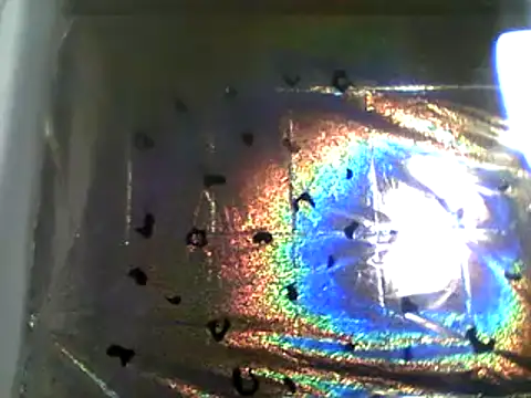 camiliaskye online show from December 13, 4:22 am