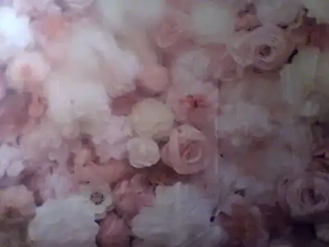 camiliaskye online show from December 31, 4:49 am