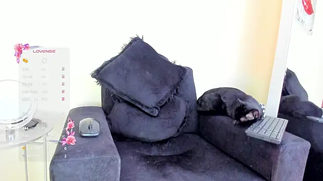 its  angelica  online show from November 19, 7:47 pm