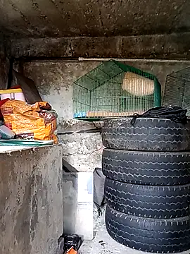 Snapshot of Elvishcassie_ chatting on October 1, 6:58 pm Elvishcassie online show from October 1, 6:58 pm