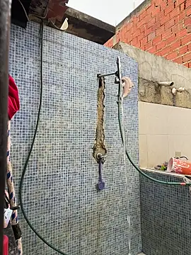 Leo bunny hot online show from November 30, 8:46 pm