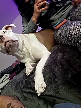 Jokergotherwett online show from March 3, 8:09 am