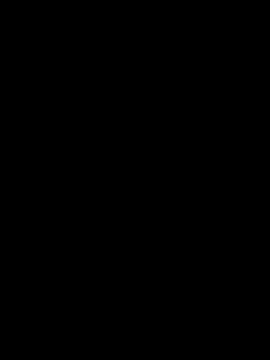 Lotusproject online show from May 26, 12:39 am