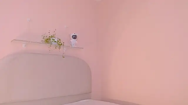 dilan sp online show from December 16, 11:32 pm