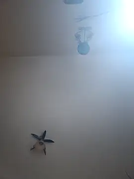 vulpe8400 online show from April 7, 10:31 pm