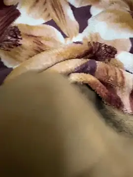 hamed-697 online show from December 16, 8:48 pm