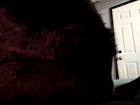 DevinToore online show from October 29, 3:31 am