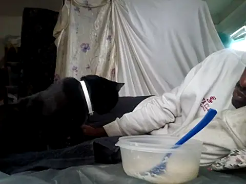 DevinToore online show from December 15, 6:01 pm