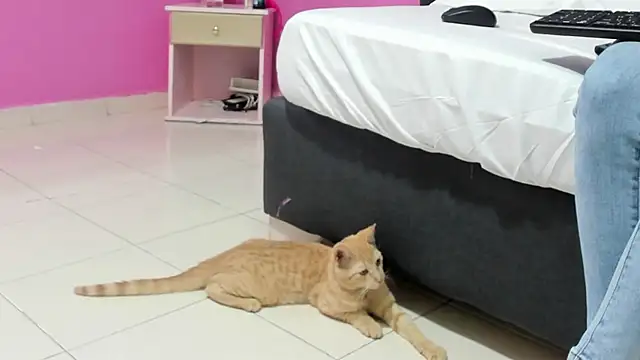  candy jade  online show from January 15, 10:42 am