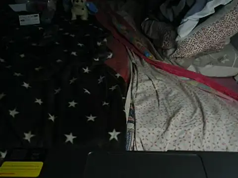 VeneRed online show from February 27, 8:42 pm