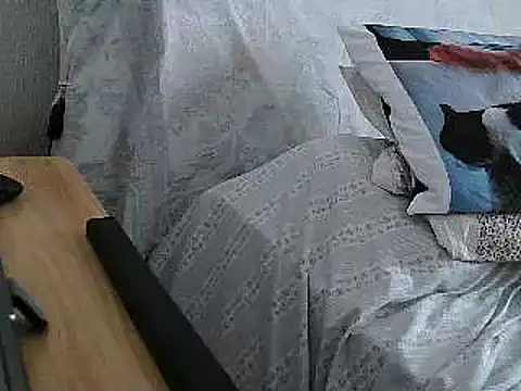 VeneRed online show from July 1, 1:24 pm
