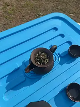 Snapshot of CN-Shanshan chatting on February 1, 4:00 am CN-Shanshan online show from February 1, 4:00 am