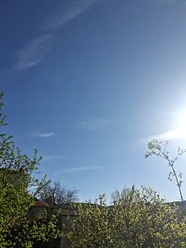 CeriseLapine online show from March 28, 7:41 am