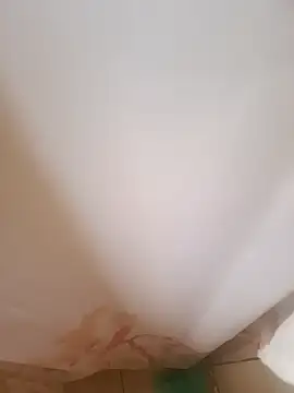 Snapshot of 403notfound chatting on November 3, 4:41 pm 403notfound online show from November 3, 4:41 pm