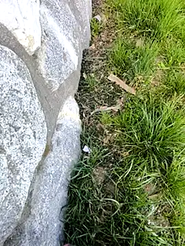 Snapshot of DrownMentallyyy chatting on March 22, 12:35 pm DrownMentallyyy online show from March 22, 12:35 pm