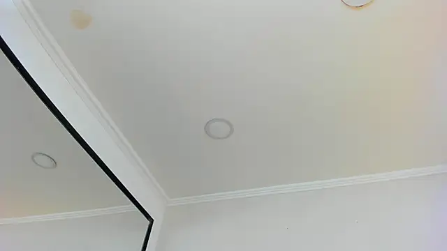 Loggan donnelly online show from March 10, 10:55 pm