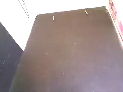 Loggan donnelly online show from October 29, 8:32 pm