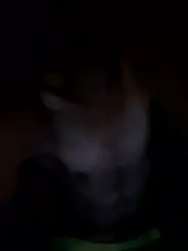Snapshot of kjs_daddy123 chatting on July 3, 4:52 am kjs daddy123 online show from July 3, 4:52 am