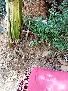 tayson  online show from January 11, 3:20 pm