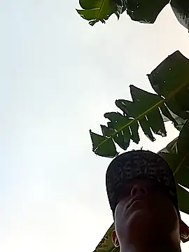 tayson  online show from January 13, 11:52 am