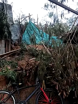 tayson  online show from February 7, 11:36 am