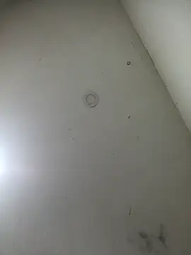 jeremiabello online show from March 17, 10:49 am